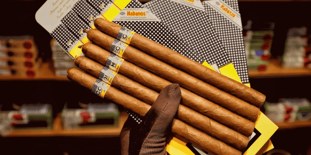 Authentic Cuban Cigars: Why They Remain the Gold Standard Worldwide